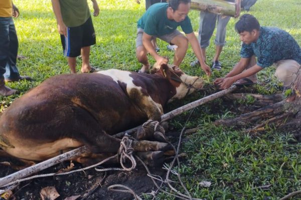 WhatsApp Image 2024-06-21 at 08.38.05_31c739bf WhatsApp Image 2024-06-21 at 08.38.05_31c739bf