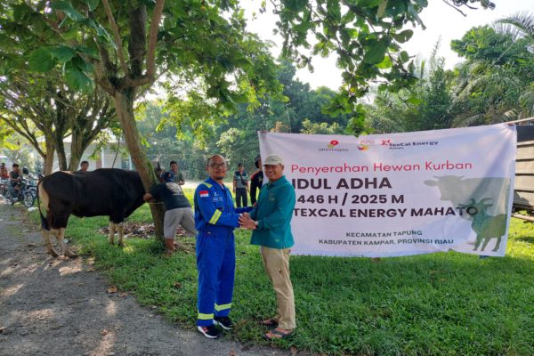 WhatsApp Image 2025-08-01 at 13.49.17_2ccfc238 WhatsApp Image 2025-08-01 at 13.49.17_2ccfc238